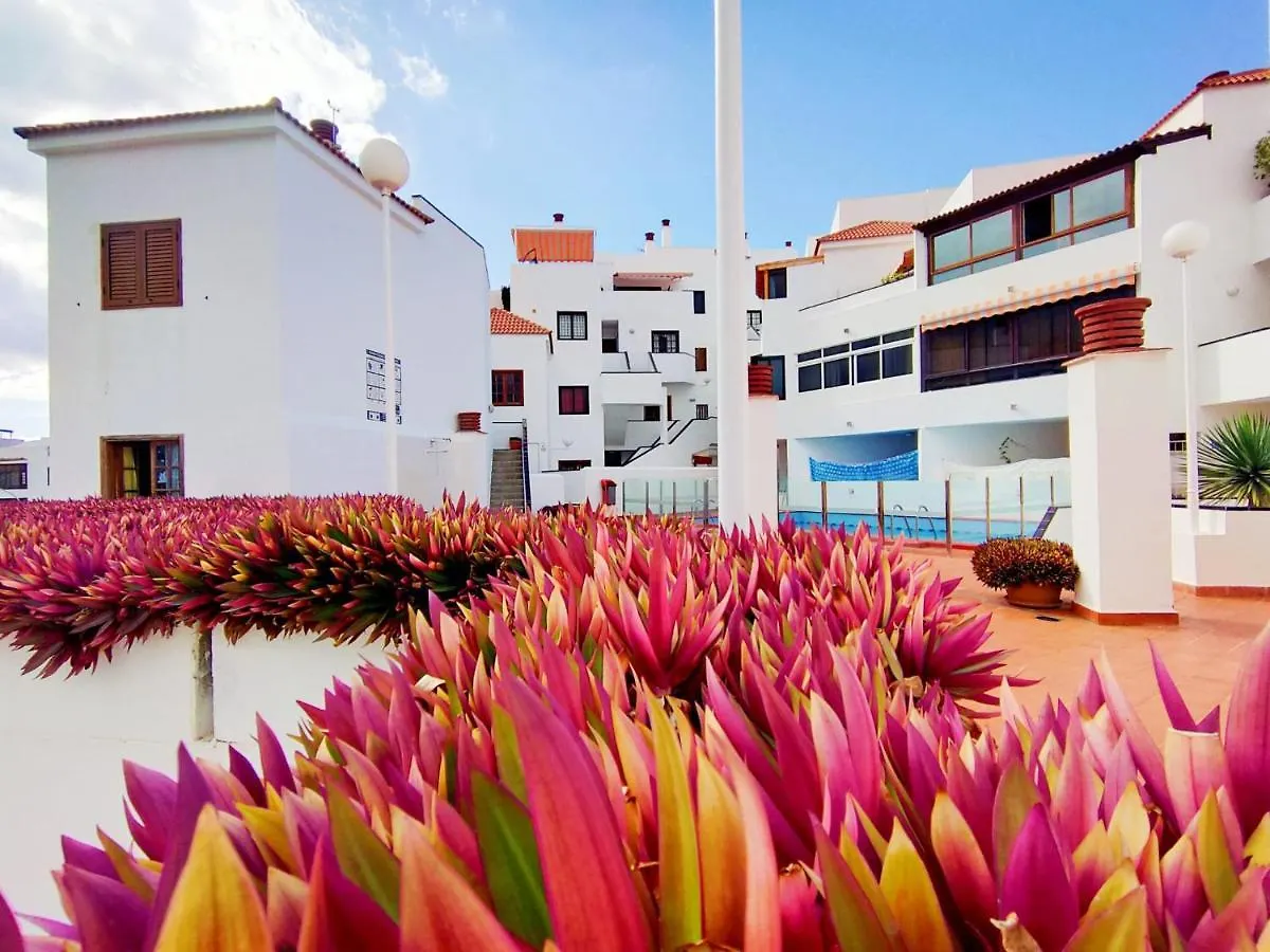 Two Bedroom Apartment In Los Cristianos Colina II Spain
